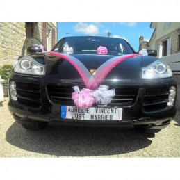 Plaque d'immatriculation de nouveauté de voiture personnalisée Deadpool -   France