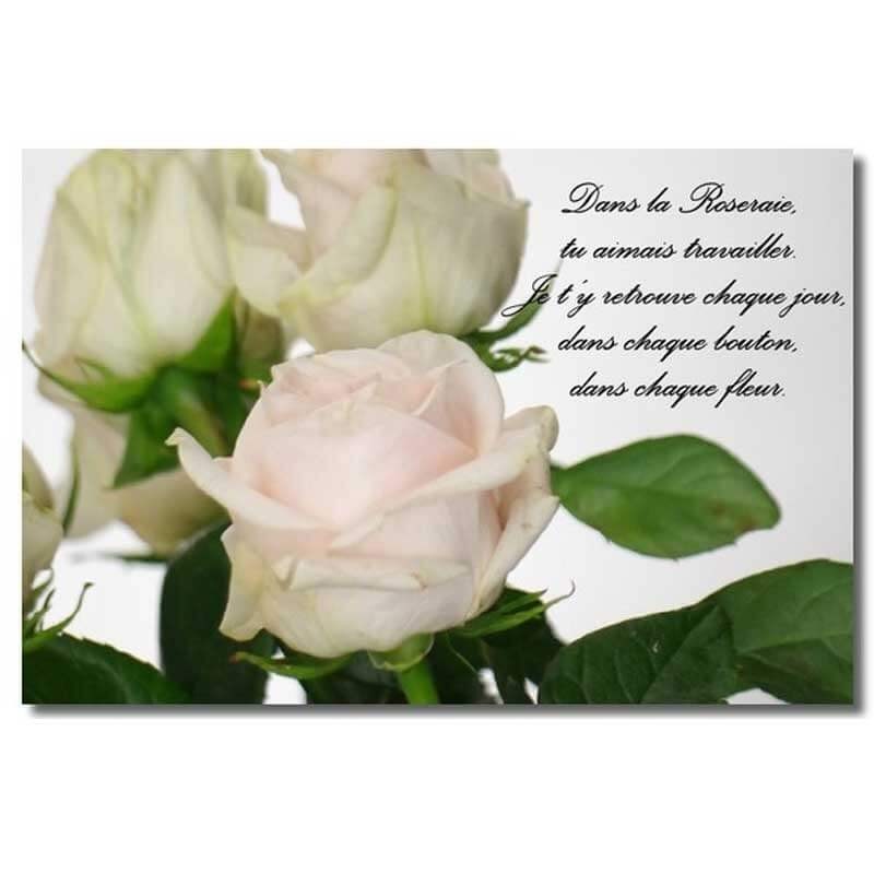 Memorial rose fleur en forme de cœur crème sentimental Tombe plaque Funérailles Hommage 