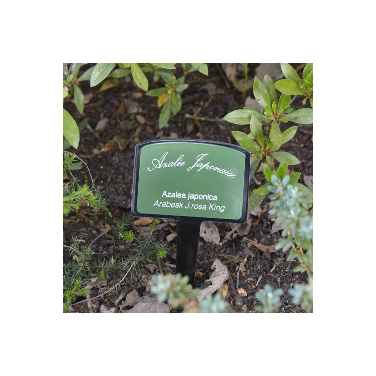 Plaque émaillée jardin