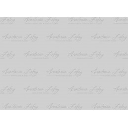 Commande LAFAY