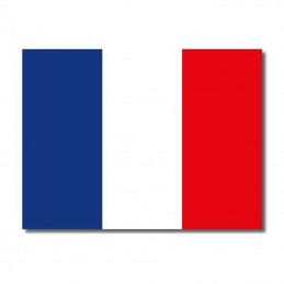 Plaque émail drapeau français