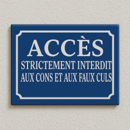 Plaque de rue ACCES INTERDIT HUMOUR
