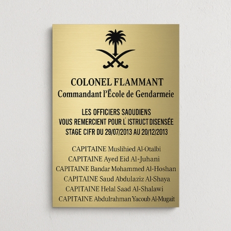Plaque Acrylique Effet Métal