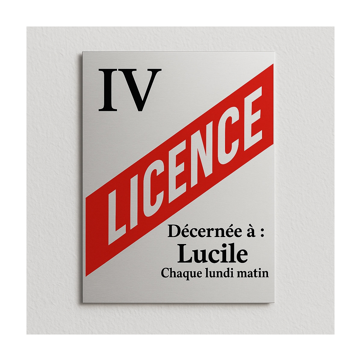 Plaque Licence IV