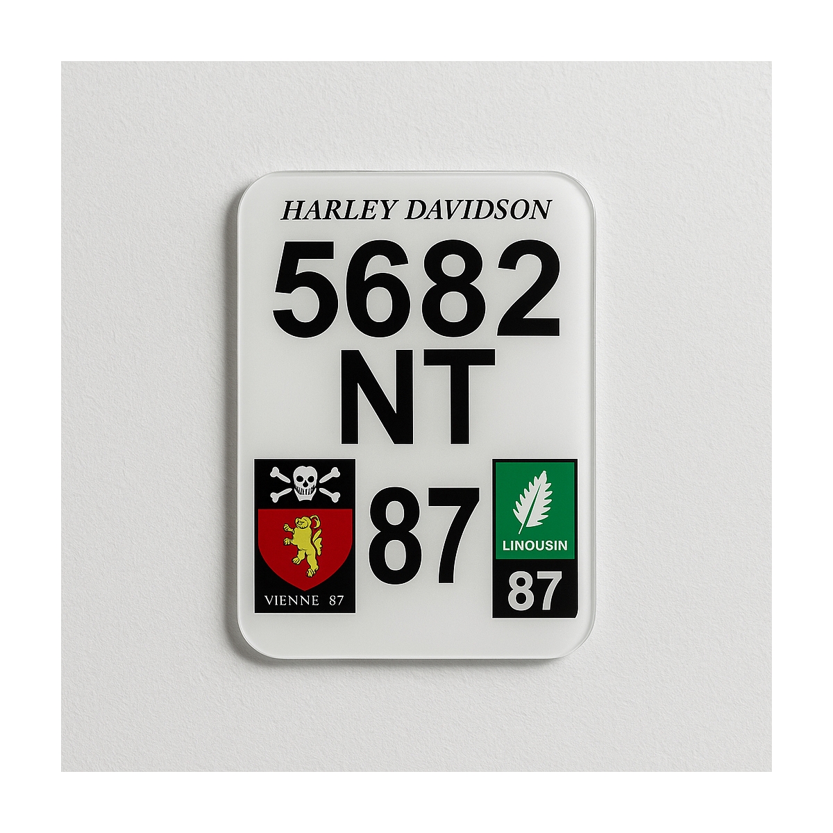 Plaque Immatriculation 100% Personnalisable