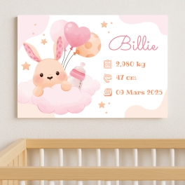 Plaque de rue Naissance pour bébé | Plaque Personnalisée