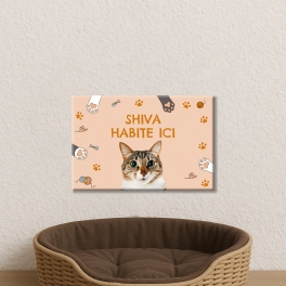 Plaque pour chat à personnaliser | Plaque Personnalisée