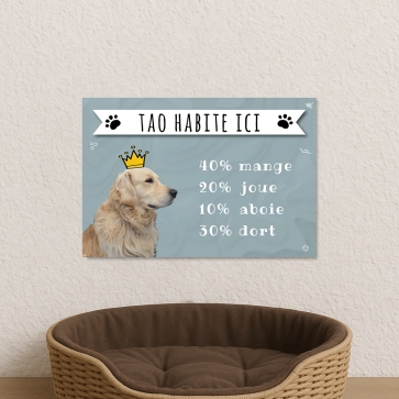 Plaque animaux maison