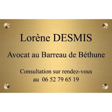 CMD GERIN - DESMIS