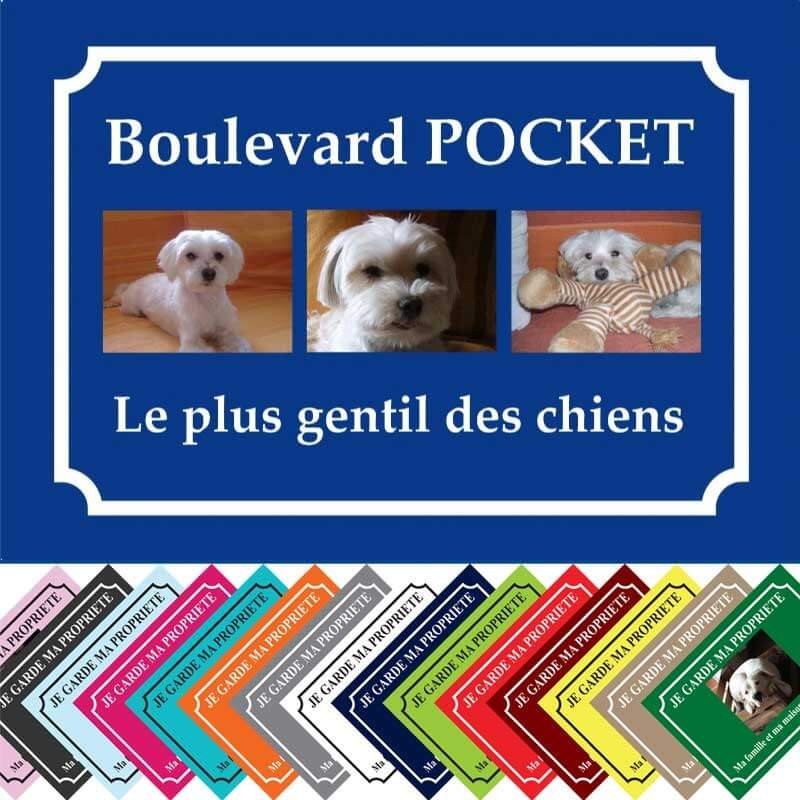 Panneau attention aux chiens à imprimer Maquette gratuite - Livraison