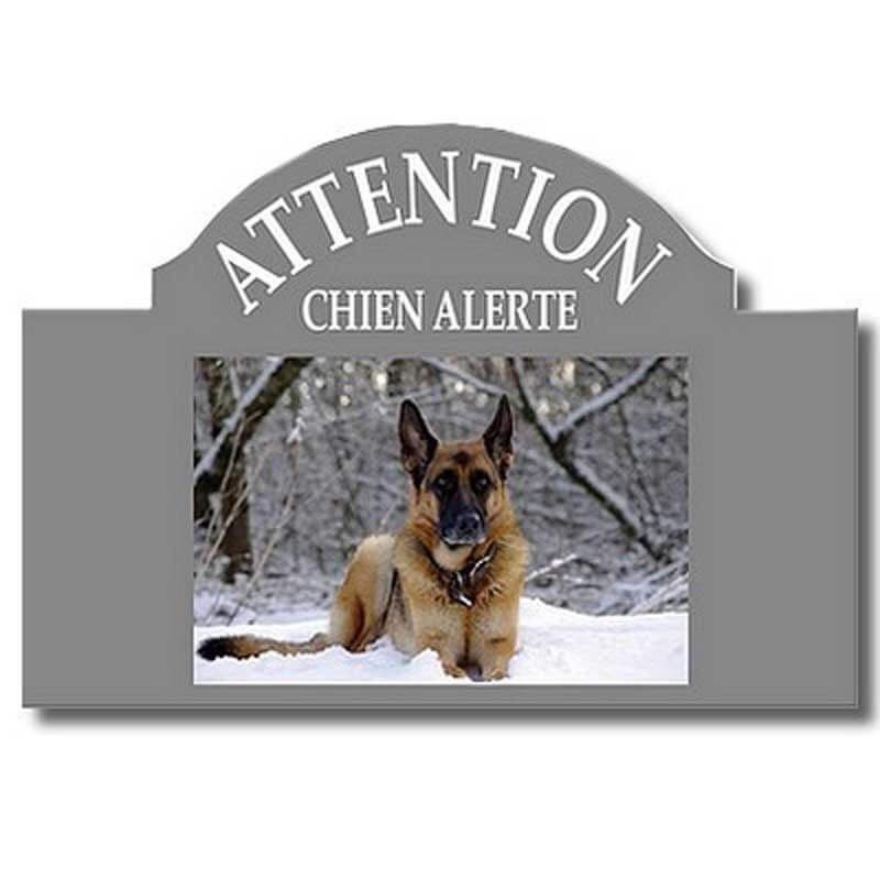 fronton avec photo chien fronton avec photo chien