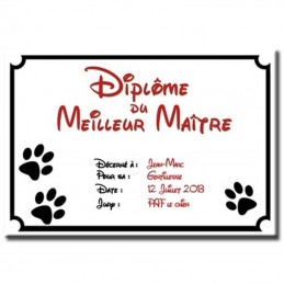 Diplôme Meilleur Maître